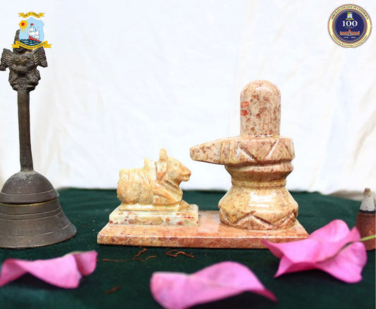 Nandi Shivling- Gaurahari Enactus SRCC